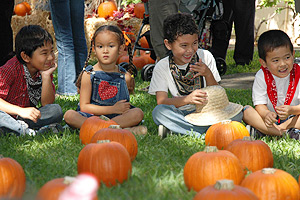 Pumpkin-patch-4