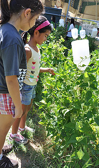 Alisha-churma19-and-hailey-wong19